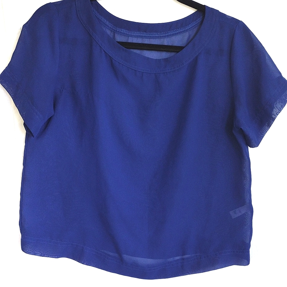 Chiffon Royal Blue Sheer Mid Size Small